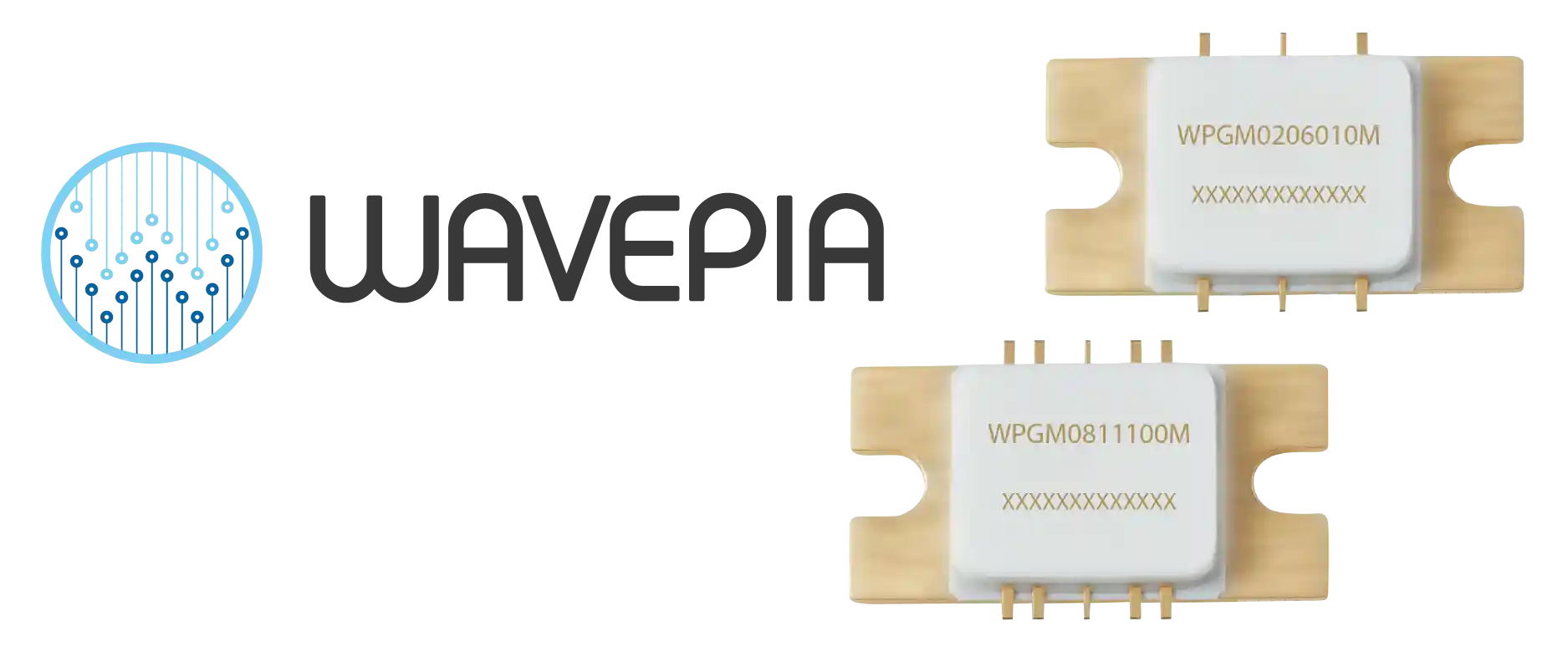 Company logo with a blue circuit-circle design and a pixelated wordmark beside two white ceramic RF modules with gold contacts, labeled WPGM0206010M and WPGM0811100M.