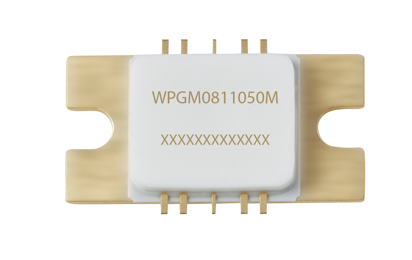 表面にコード「WPGM0811050M」が記載され、縁に金メッキの接点を持つ白い正方形のマイクロチップモジュール